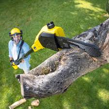 Best Lawn Mowing  in Georgetown, CO